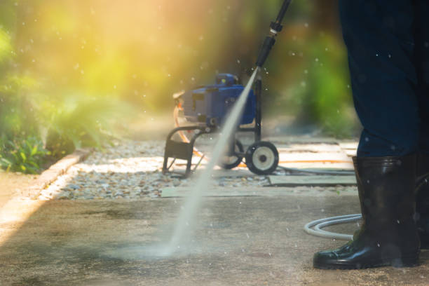 Best Sidewalk and Walkway Cleaning  in Dillsboro, IN